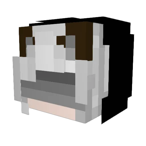 baoan1314 Minecraft avatar head, 3D render