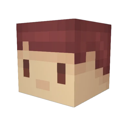 baofengyan Minecraft avatar head, 3D render