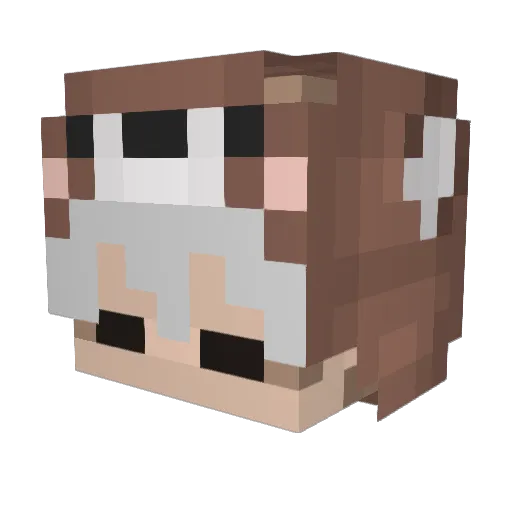 baozen_01 Minecraft avatar head, 3D render