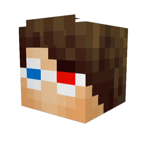 bappel123 Minecraft avatar head, 3D render