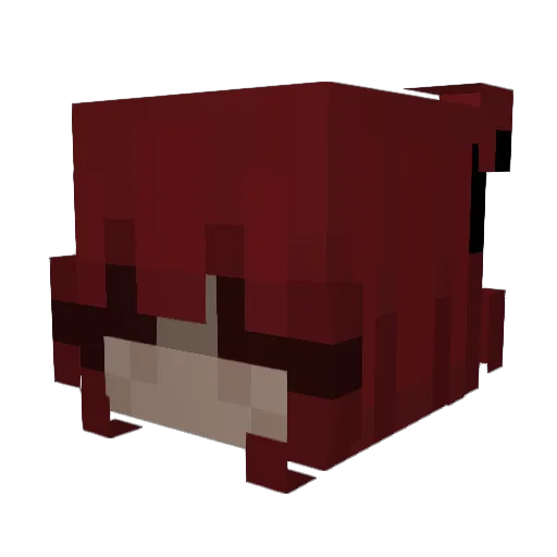 bappoclapper Minecraft avatar head, 3D render