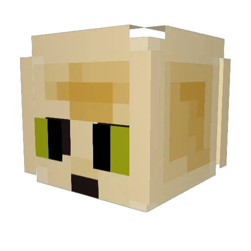 baptou8281 Minecraft avatar head, 3D render