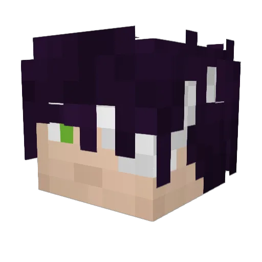 baptoz7binks Minecraft avatar head, 3D render