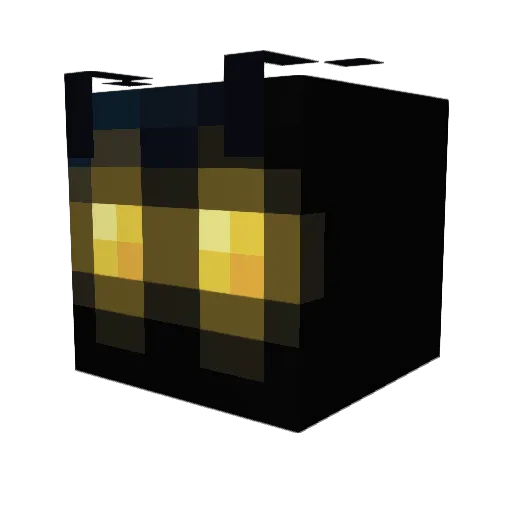 barakei Minecraft avatar head, 3D render