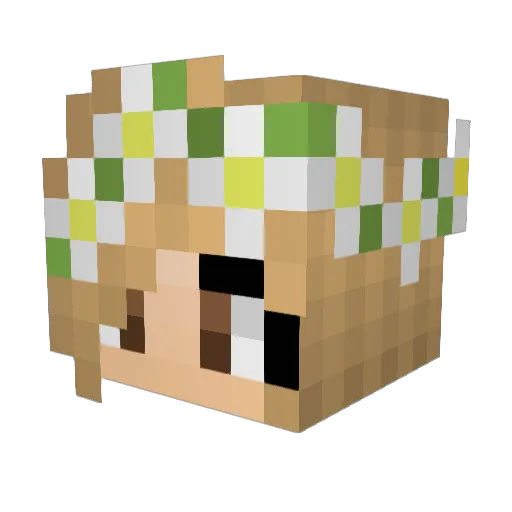 baratine Minecraft avatar head, 3D render