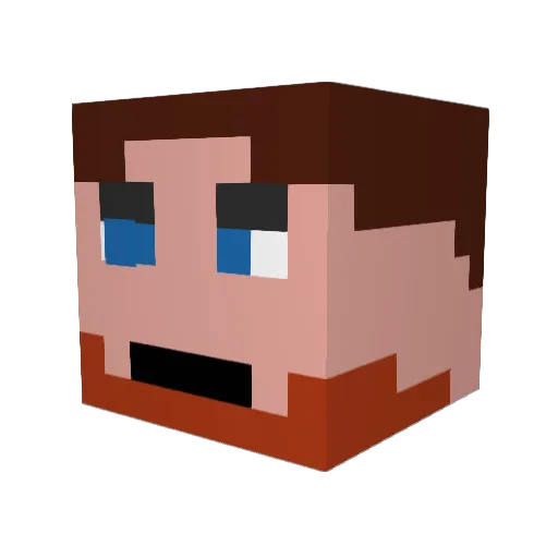 barawa Minecraft avatar head, 3D render