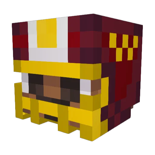 barbs1115 Minecraft avatar head, 3D render