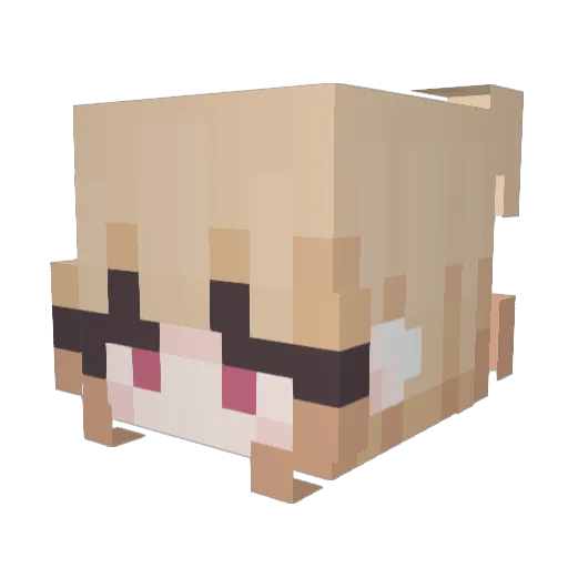 barcaloverrr Minecraft avatar head, 3D render