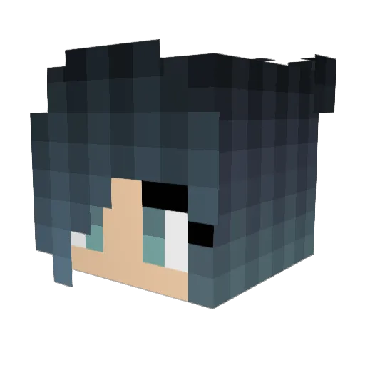 bardie4 Minecraft avatar head, 3D render