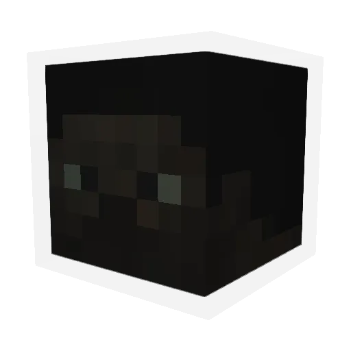 bardzo Minecraft avatar head, 3D render
