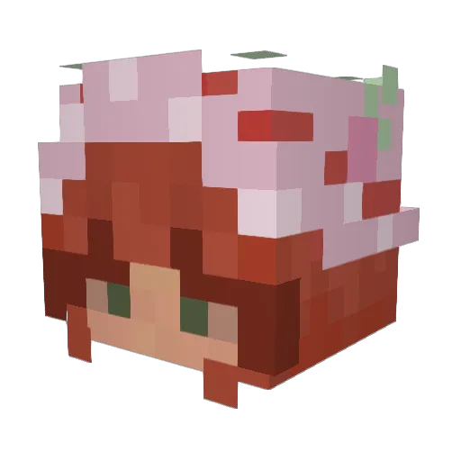 barebeedle Minecraft avatar head, 3D render