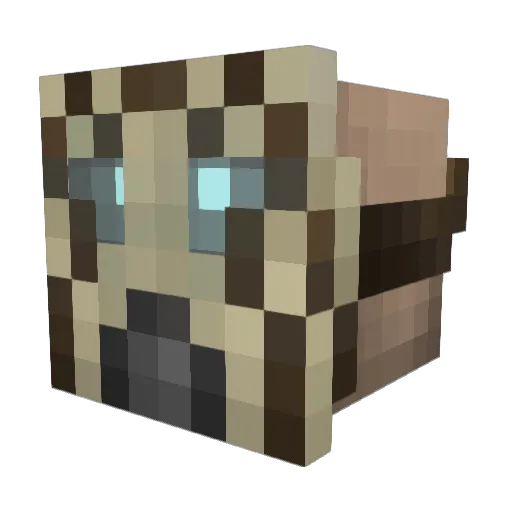barefooter11 Minecraft avatar head, 3D render