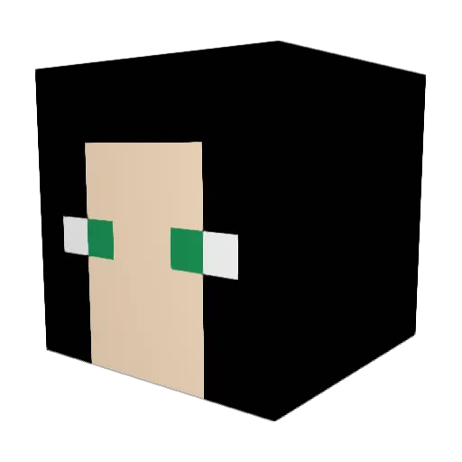 barelrider Minecraft avatar head, 3D render