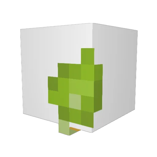 baretk Minecraft avatar head, 3D render