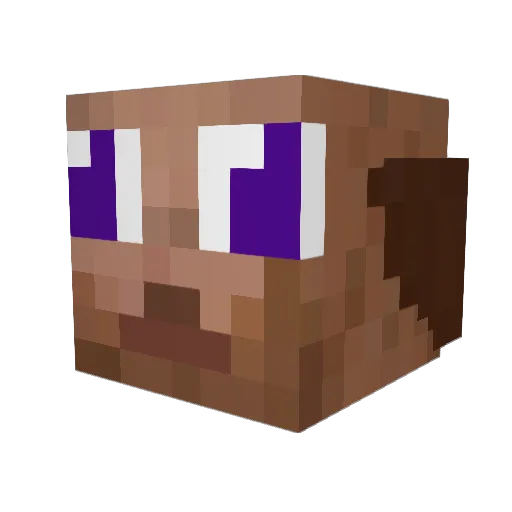 barkalchik Minecraft avatar head, 3D render
