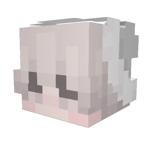 barkin2004 Minecraft avatar head, 3D render