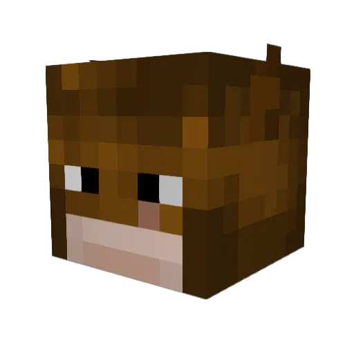 barkknight Minecraft avatar head, 3D render