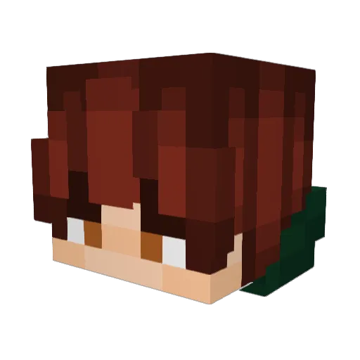 barkythedog666 Minecraft avatar head, 3D render