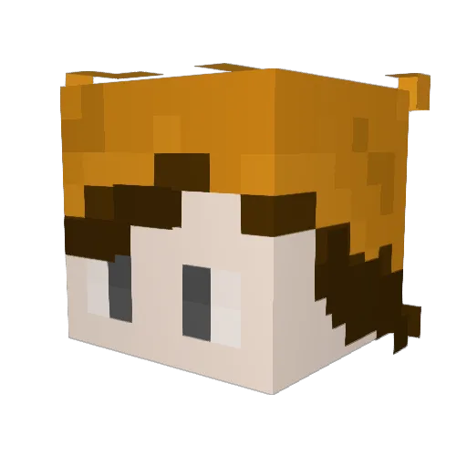 barnabean Minecraft avatar head, 3D render