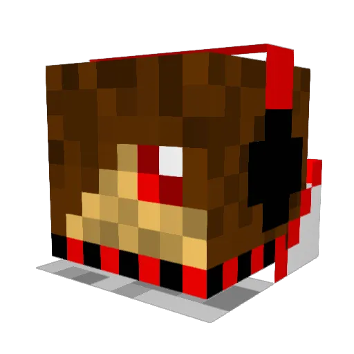 barncat45 Minecraft avatar head, 3D render