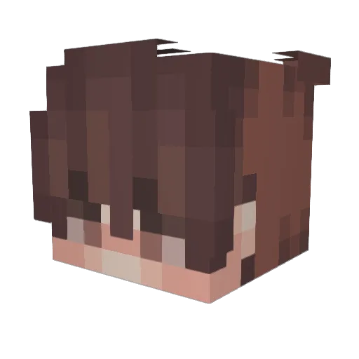 barndoggg Minecraft avatar head, 3D render