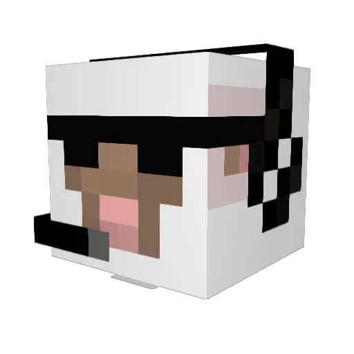 barney2200 Minecraft avatar head, 3D render