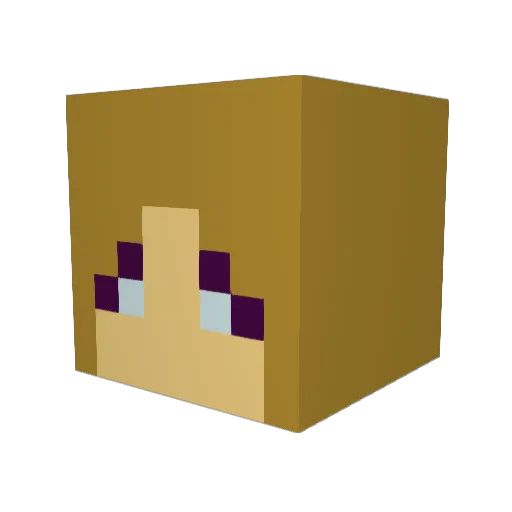 barnflyforever Minecraft avatar head, 3D render