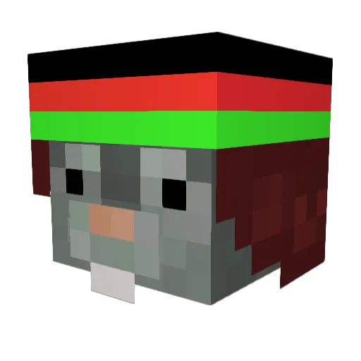 barnibie2000 Minecraft avatar head, 3D render