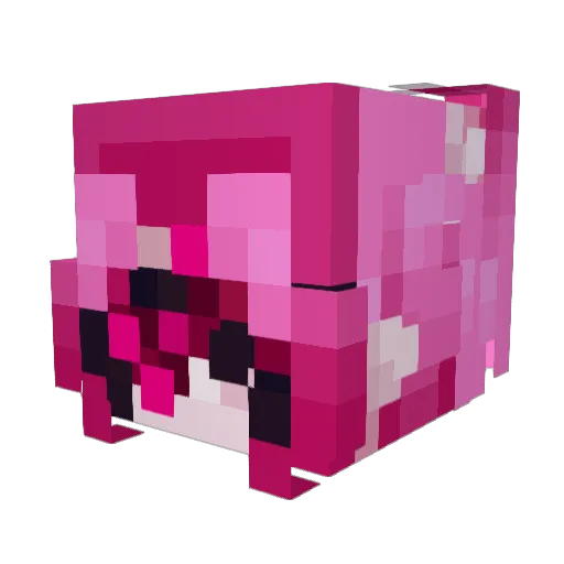 barofshampoo Minecraft avatar head, 3D render
