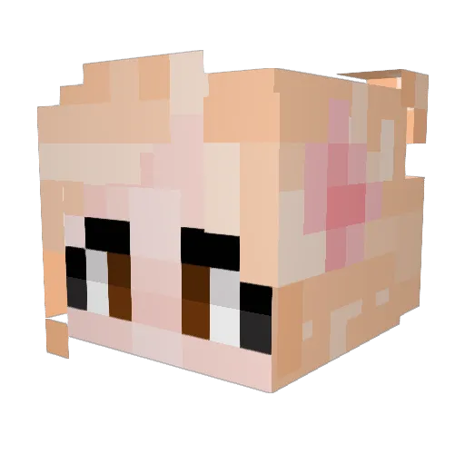 barplotte Minecraft avatar head, 3D render