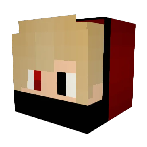 barra_vangersert Minecraft avatar head, 3D render