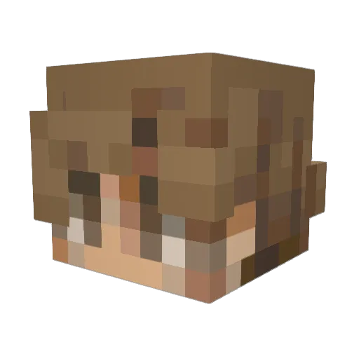 barrelflip3 Minecraft avatar head, 3D render