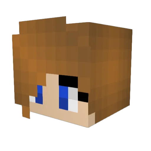 barrelracer2016 Minecraft avatar head, 3D render
