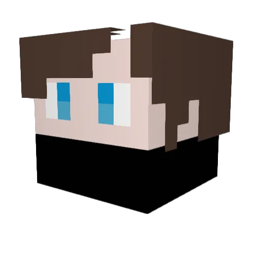 barrier0801 Minecraft avatar head, 3D render