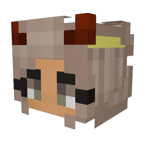 barrsisters Minecraft avatar head, 3D render