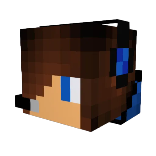 barry0422 Minecraft avatar head, 3D render