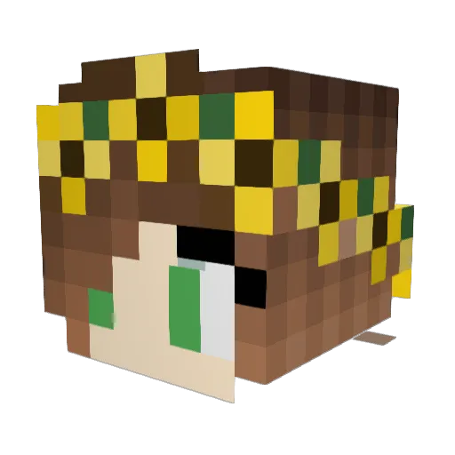 barryburry Minecraft avatar head, 3D render