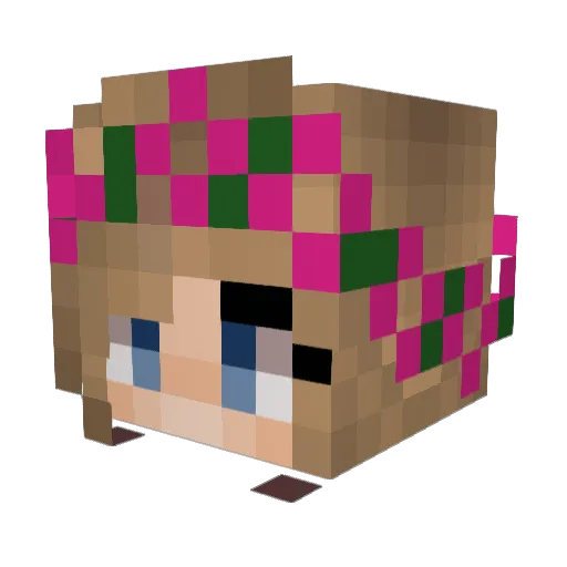 barskaa Minecraft avatar head, 3D render