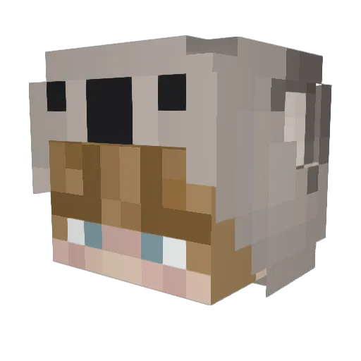 bartbrinkman Minecraft avatar head, 3D render