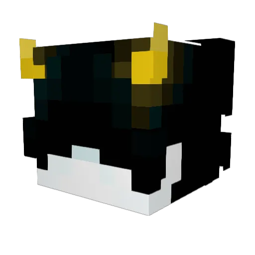 bartek2116 Minecraft avatar head, 3D render