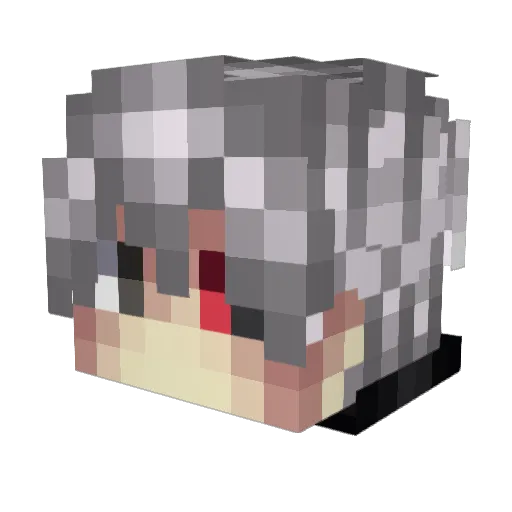 bartek2233 Minecraft avatar head, 3D render