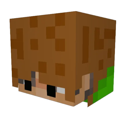 bartekxxdd Minecraft avatar head, 3D render