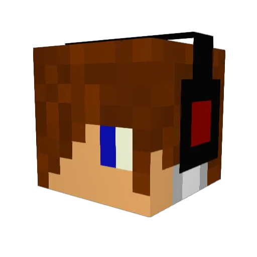 bartuga Minecraft avatar head, 3D render
