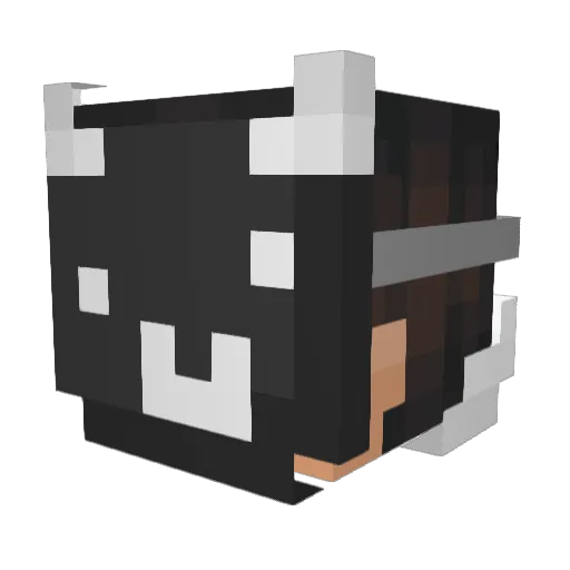 bartyj33 Minecraft avatar head, 3D render