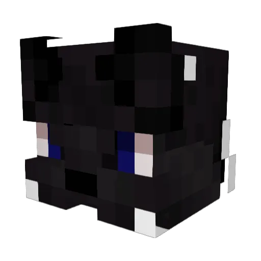 barunnaaa Minecraft avatar head, 3D render
