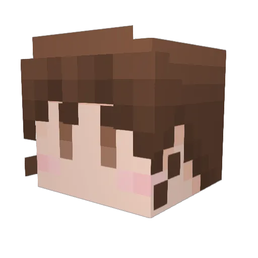 bary0922 Minecraft avatar head, 3D render