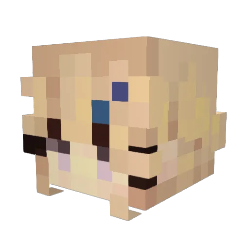 basasinotebasaki Minecraft avatar head, 3D render