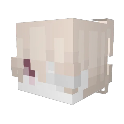 bascarrammini Minecraft avatar head, 3D render