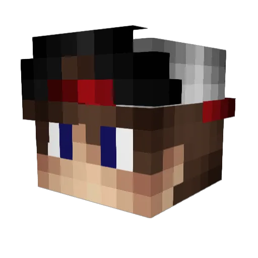 base256 Minecraft avatar head, 3D render