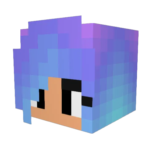 baseball0410 Minecraft avatar head, 3D render